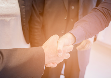 Strategic Partnerships & JVs